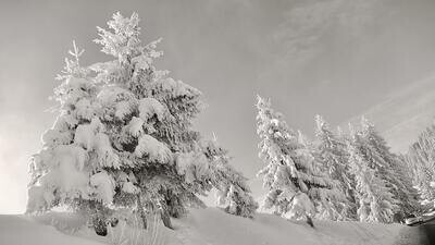 Silver: cycle of ten, 90-minute lessons – KS3 English / 13+ exams prep: £492