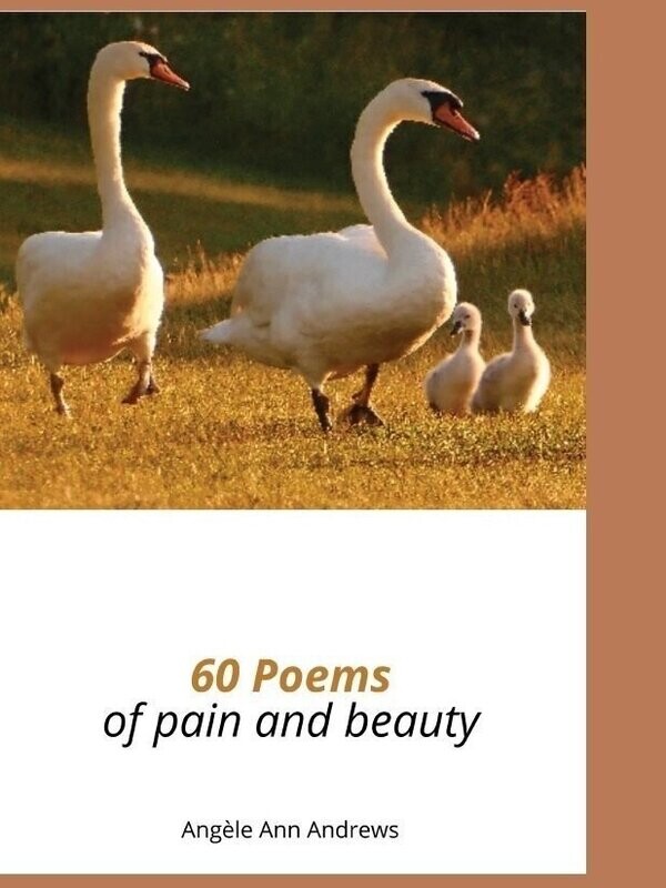 60 poems of pain and beauty 
[PDF: £4.80]