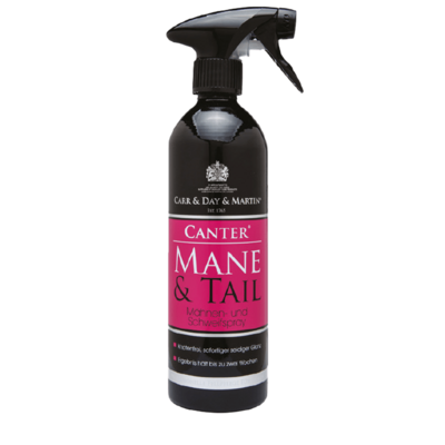 Canter Mane & Tail