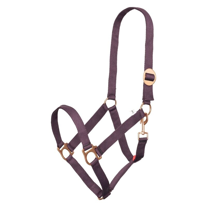 Halfter Nylon Economic Bordeaux