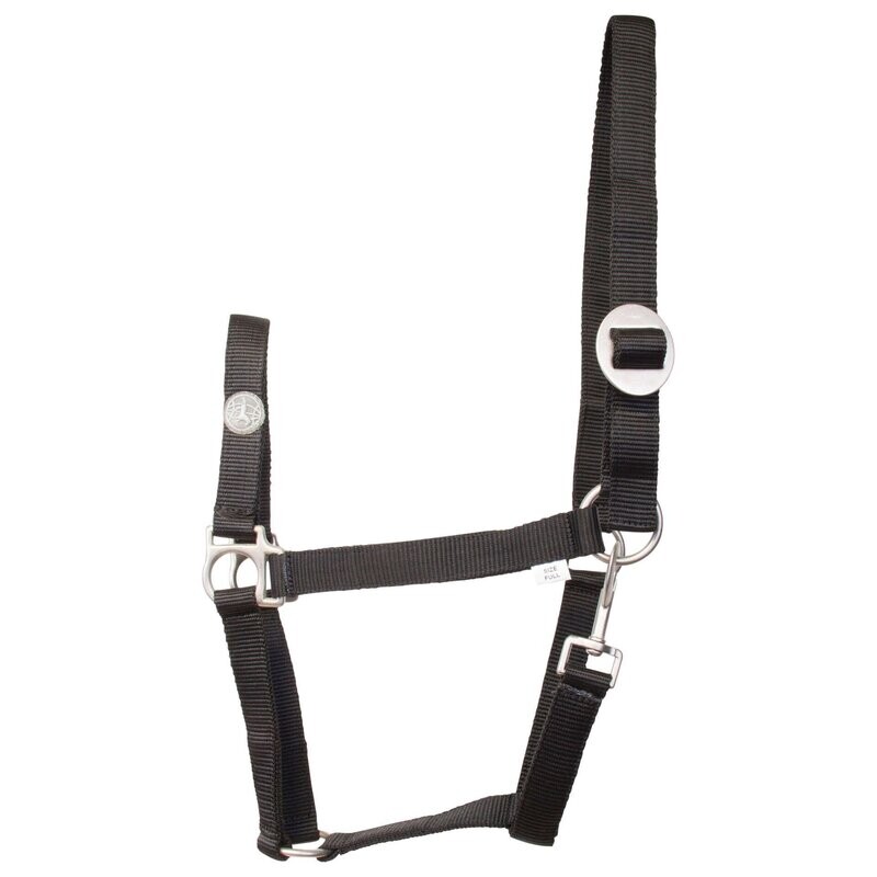 Halfter Nylon Economic black