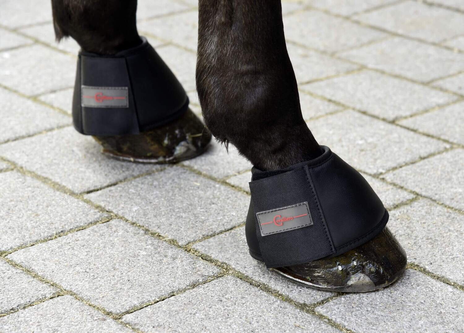 Hufglocken Basic black