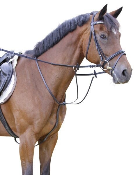 Martingal schwarz pony