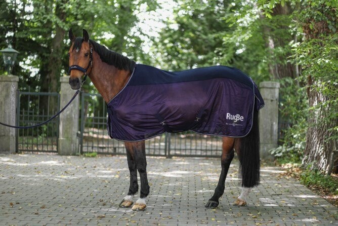 Abschwitz-/Fliegendecke F/S 2022 navy