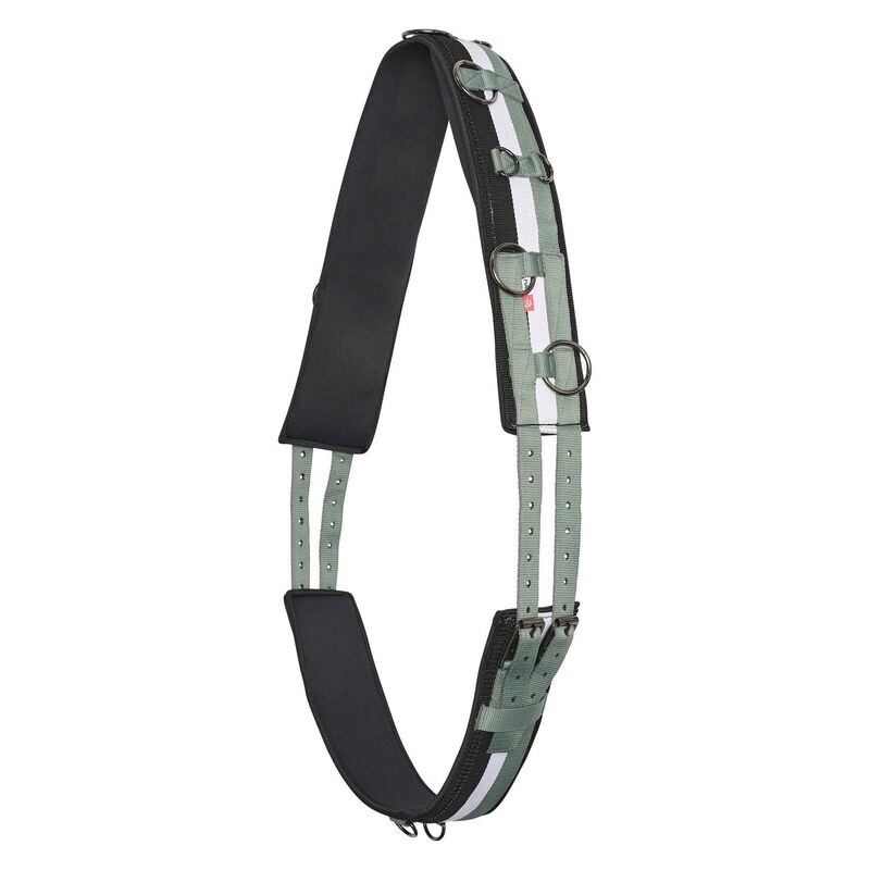 Longiergurt nylon Deluxe