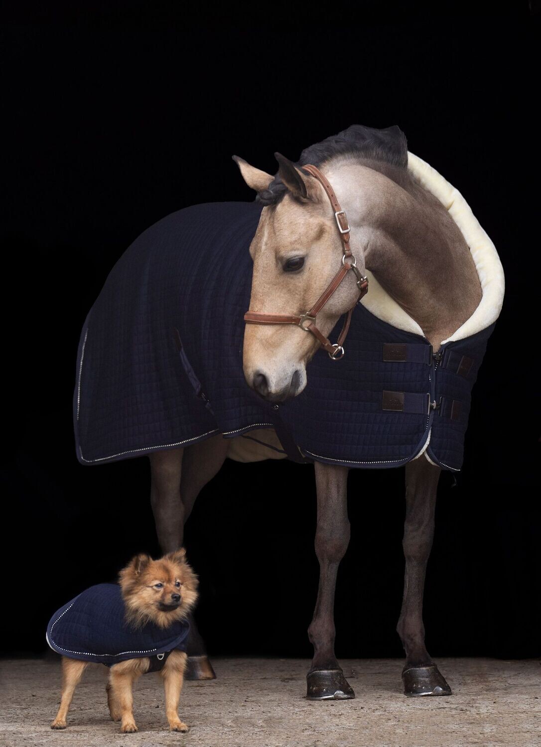 Stalldecke Franka navy