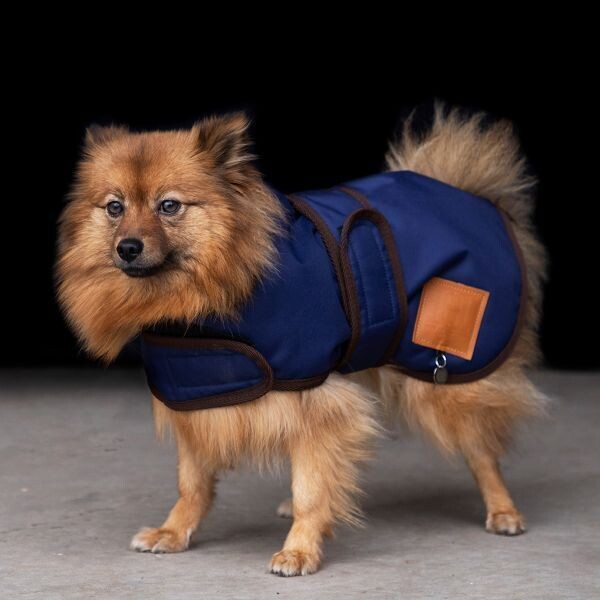 Hundejacke Puck navy