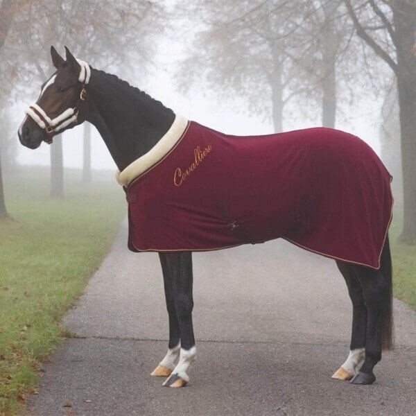 Abschwitzdecke Fleece