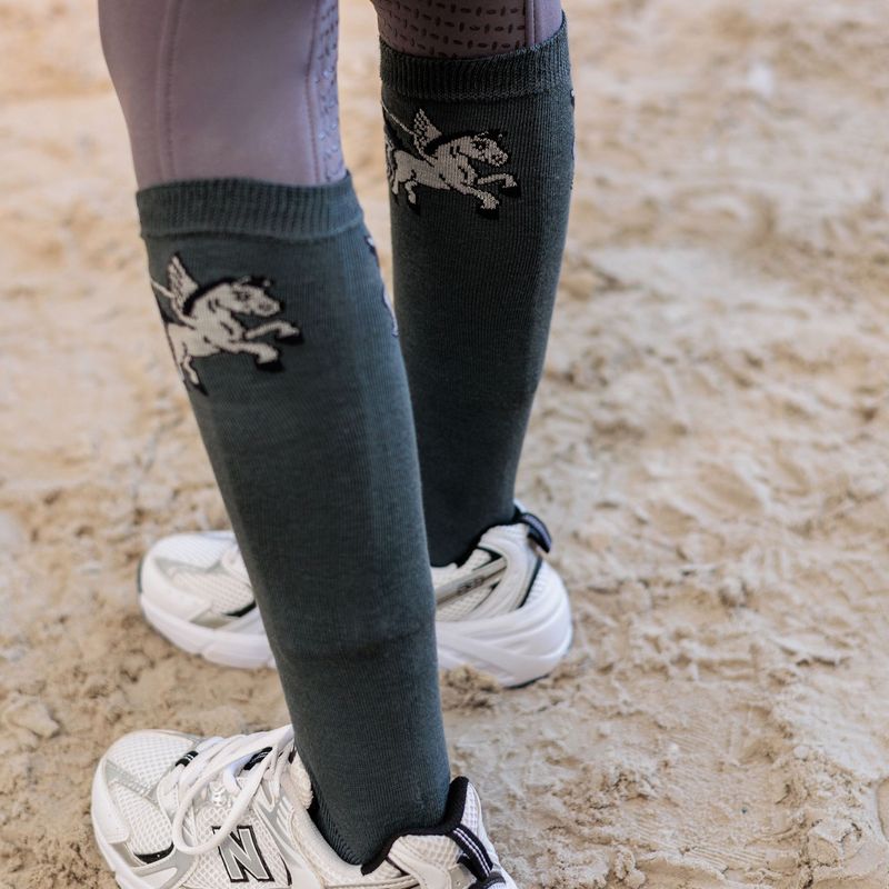 Socken Pegasus