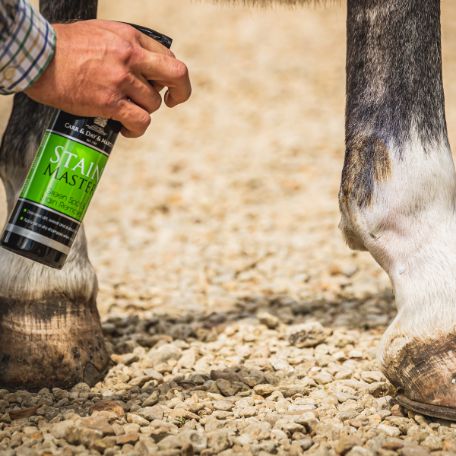 Stainmaster – Gras- und Mistflecken-Entferner