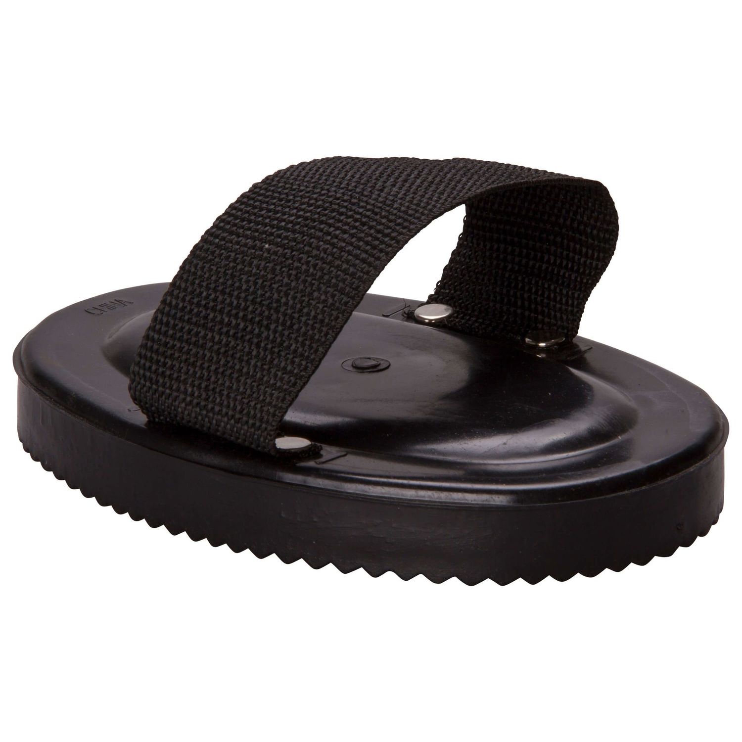 Kunststoffstriegel  mit Handschlaufe