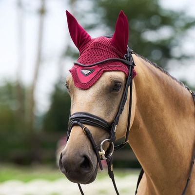 Fliegenhaube Cato