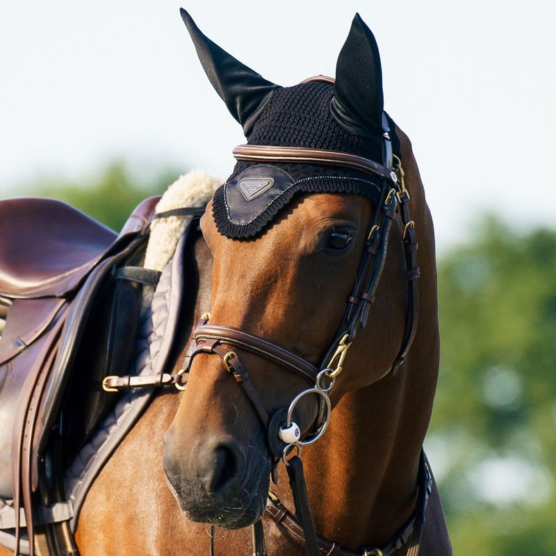 Fliegenhaube Cato