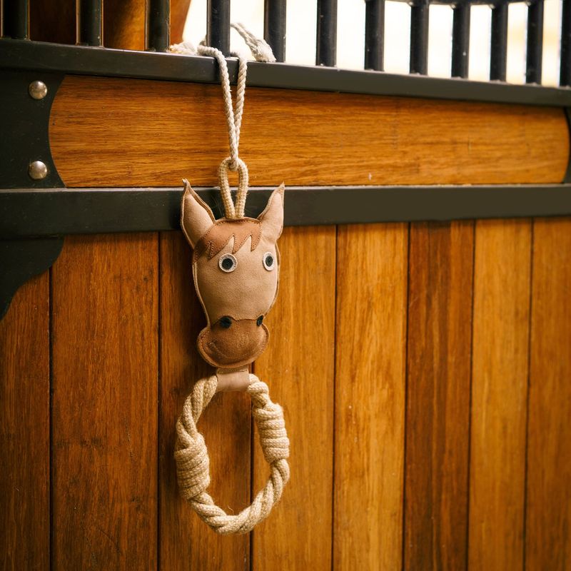 Stable buddy Rope horse