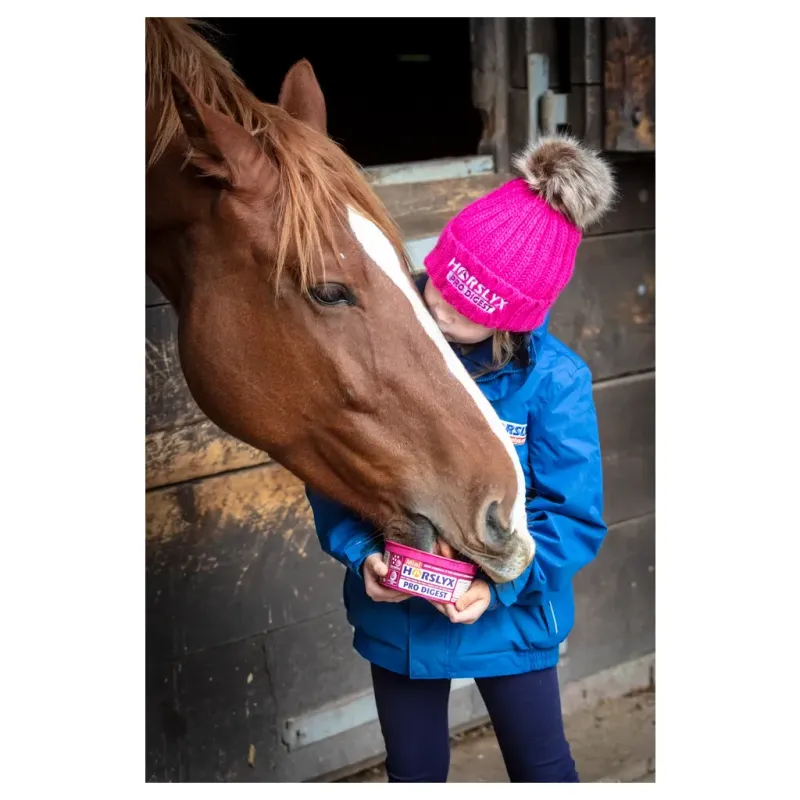 Horslyx Mini Verdauung