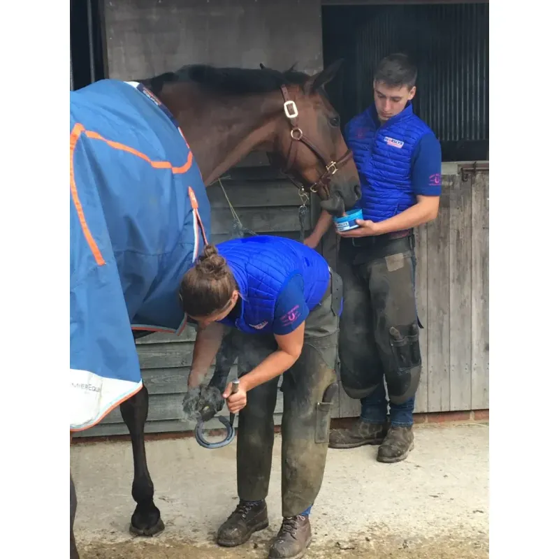 Horslyx Mini Atemwege
