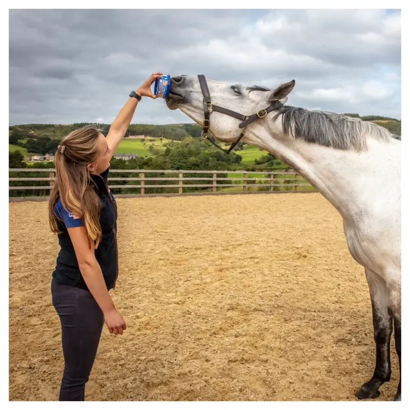 Horslyx Mini Original