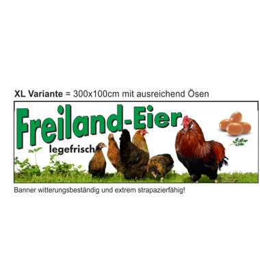 Banner Eier Freiland