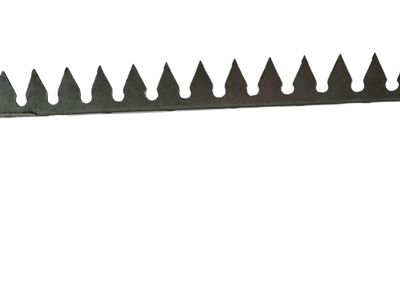 Zackenleiste/Übersteigschutz lose Zackenleiste/Übersteigschutz lose