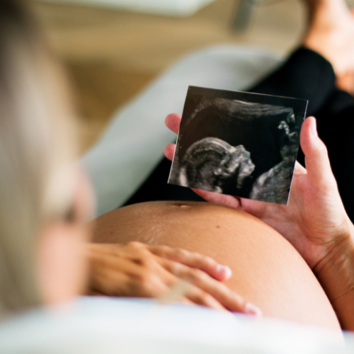 Nourishing the Feminine Journey - Integrating feminine systems into pregnancy by Dr. Dee | Feminine Systems