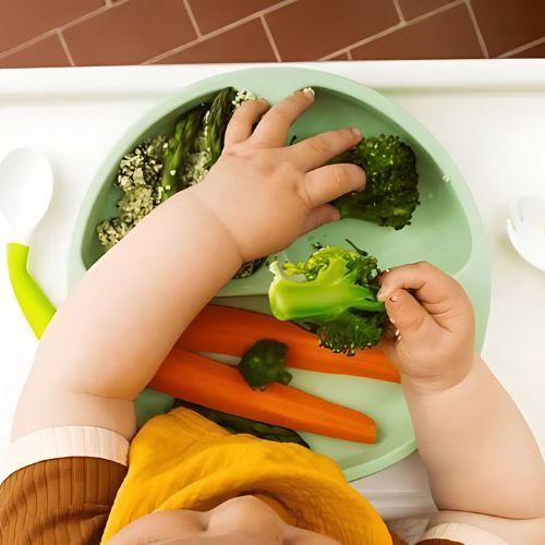 Trusting Tiny Hands: a gentle introduction to baby-led weaning by Dr. Dee | Feminine Systems ⸻