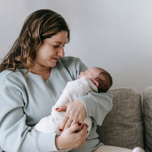 The postpartum plate: what new moms really need for recovery &amp; energy  by Dr. Dee | Feminine systems