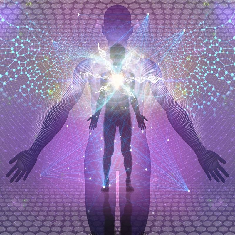 The Fire Within: inflammation, chronic illness &amp; the feminine body” by Dr. Dee | Feminine Systems Health Series