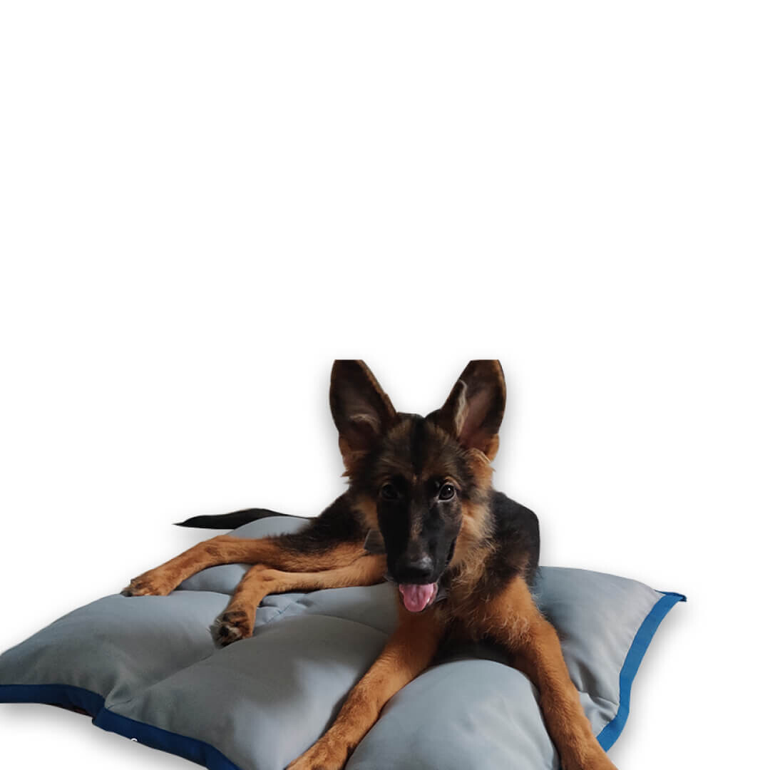 House of Furry Soft Velvet Dog Mat ANNIE