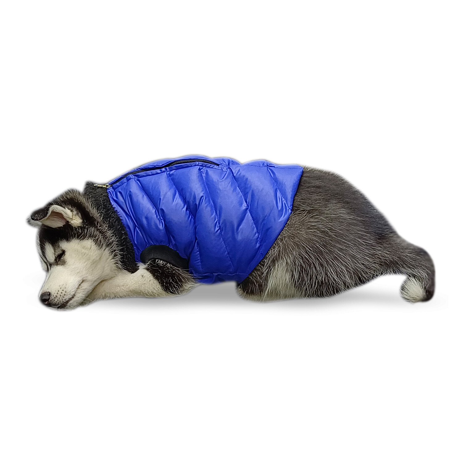 Premium Quality Zipper High Neck Blue Winter Jacket