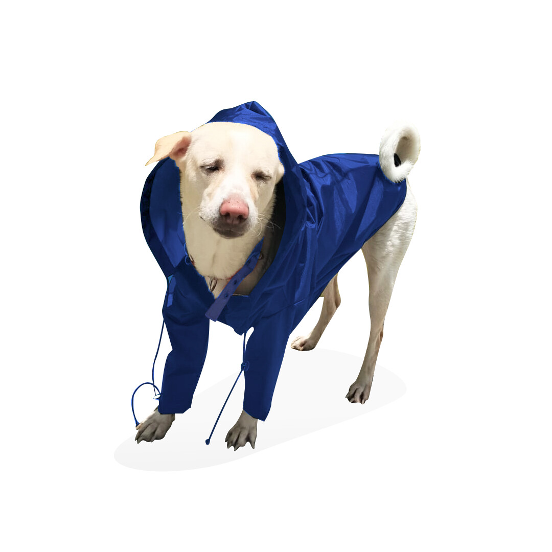 Premium Quality Double Layer Raincoat with Hoody