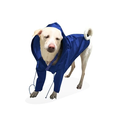 Premium Quality Double Layer Raincoat with Hoody