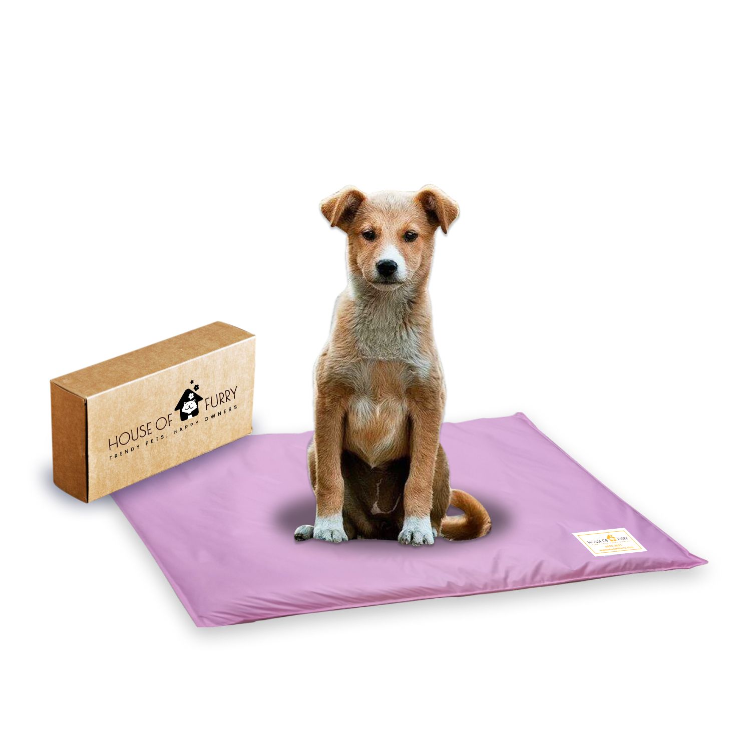 Dog Mat for Community Dog