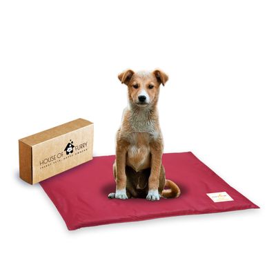 Dog Mat for Community Dog