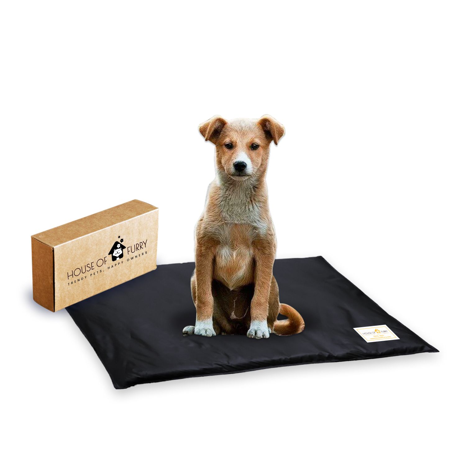 Dog Mat for Community Dog