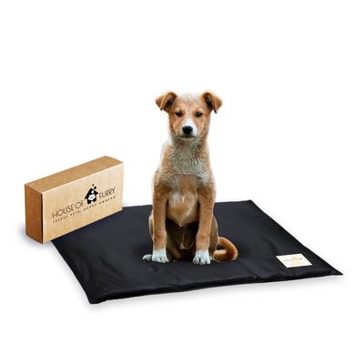 Dog Mat for Community Dog