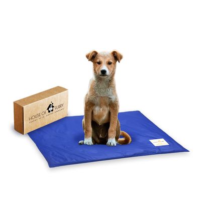 Dog Mat for Community Dog