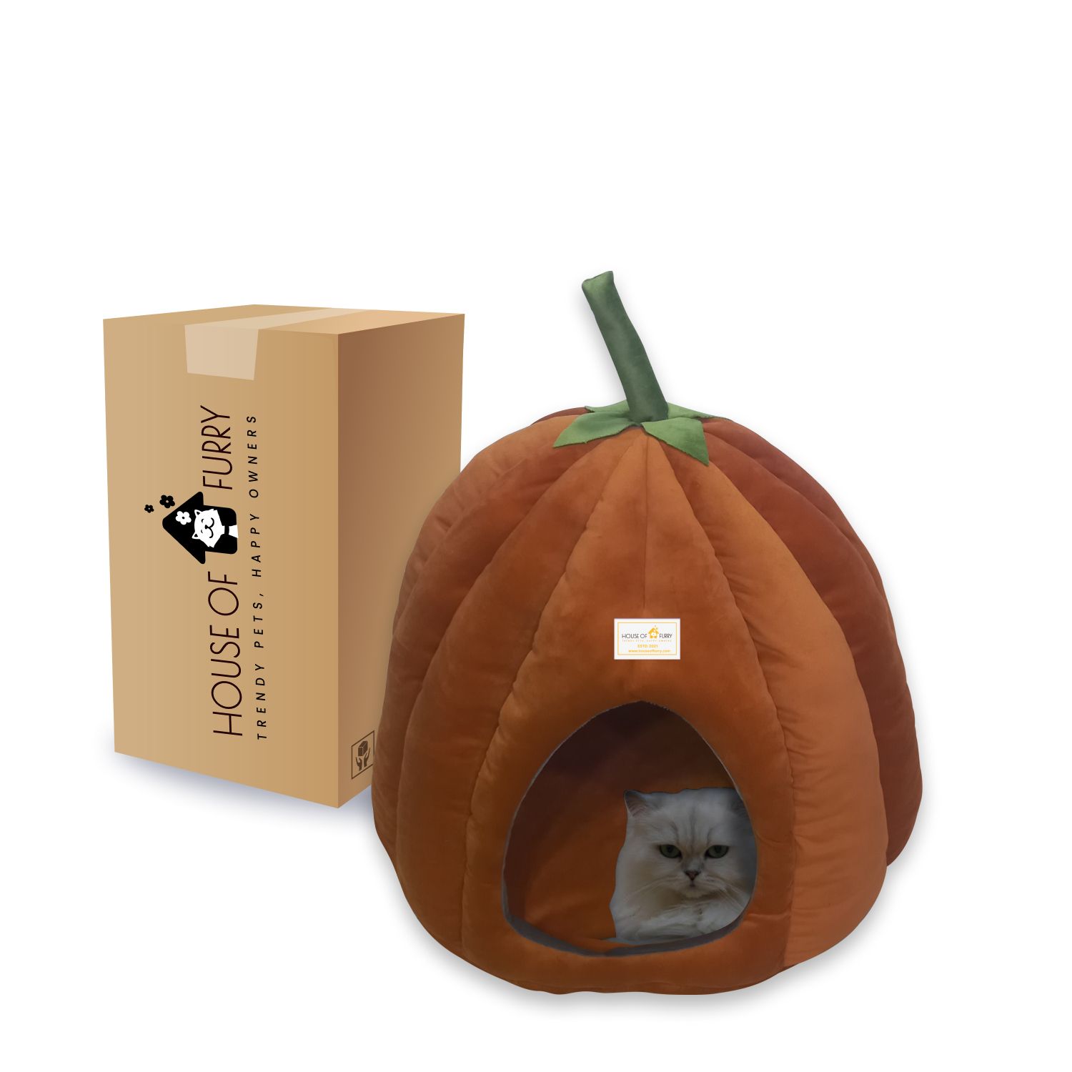 House of Furry KADDU HOUSE FOR CAT/KITTEN/PUPPY/SMALL BREED/POCKET BREED DOG Cat, Dog, Rabbit House