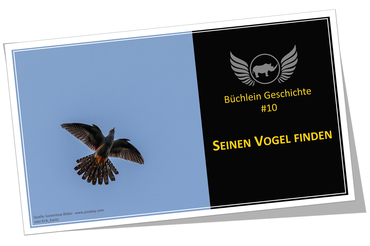 10 Seinen Vogel finden - PDF