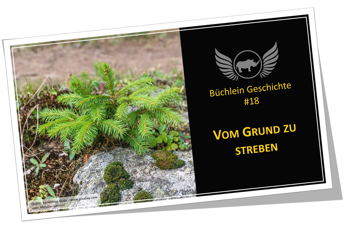18 Vom Grund zu streben - PDF