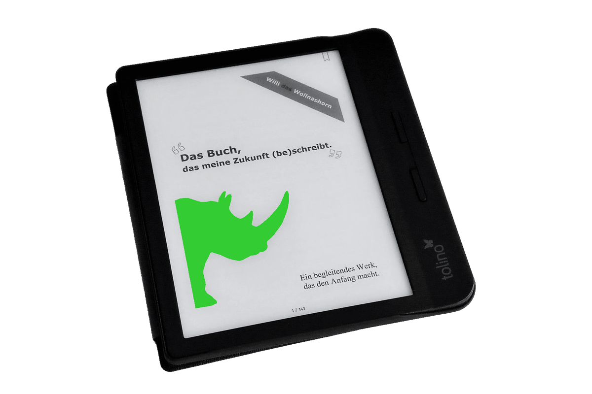 Das Buch, das meine Zukunft (be)schreibt - ePUB