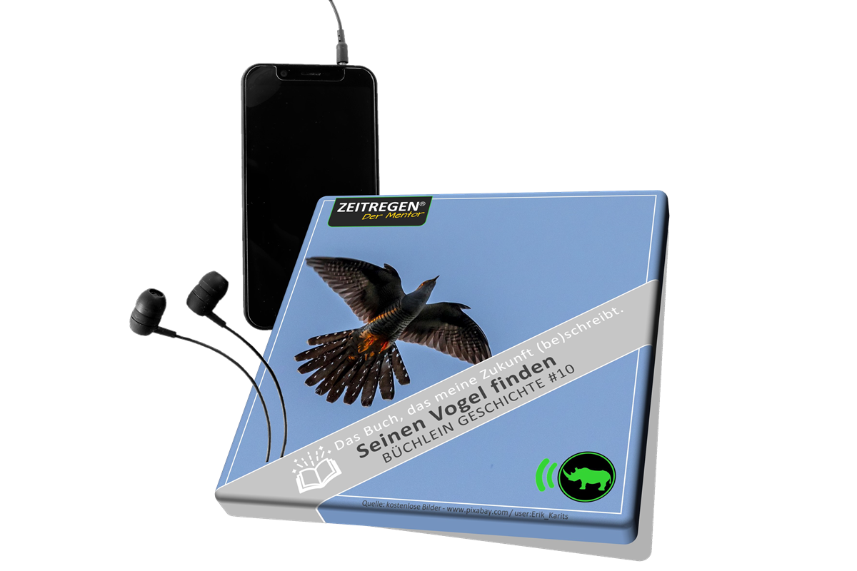 10 Seinen Vogel finden - MP3