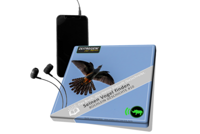 10 Seinen Vogel finden - MP3