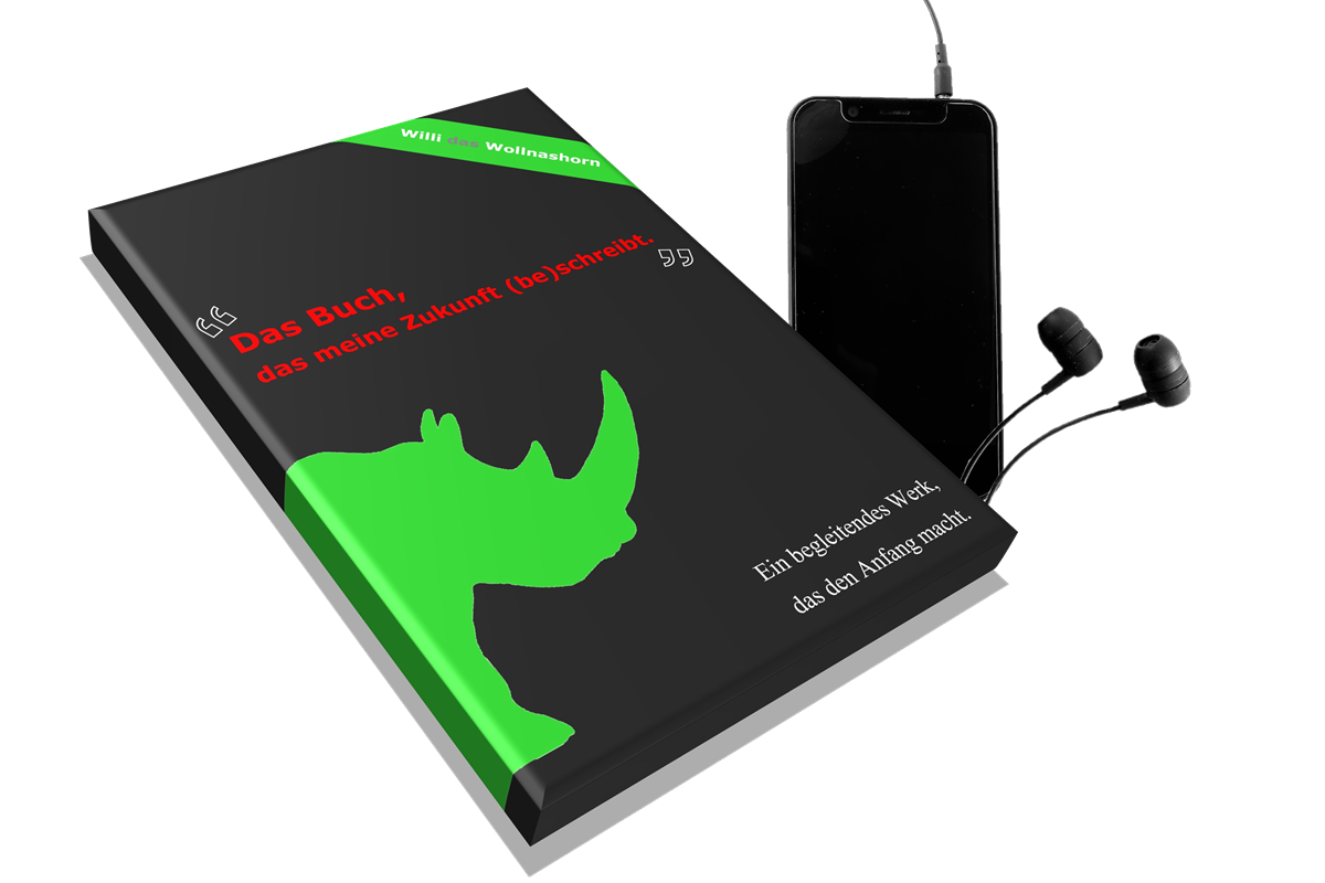 Das Buch, das meine Zukunft (be)schreibt - MP3