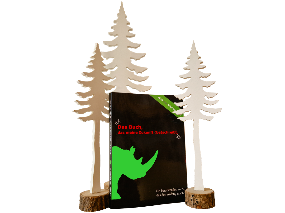 Das Buch, das meine Zukunft (be)schreibt - SOFTCOVER