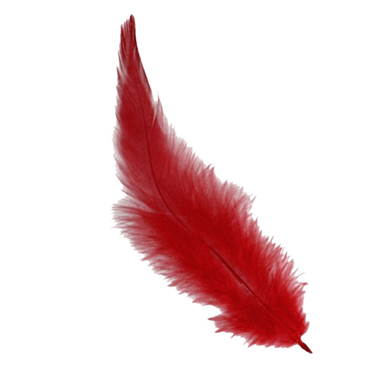 Hahnenkreuzfedern, ca. 8-10 cm groß, Beutel zu 15 Stück, Farbe: rot