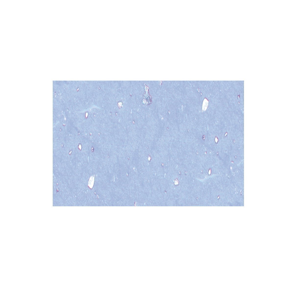 Muschelpapier 70 g / qm, 50 x 70 cm, 1 Bogen, Hellblau
