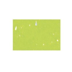 Muschelpapier 70 g / qm, 50 x 70 cm, 1 Bogen, Hellgrün