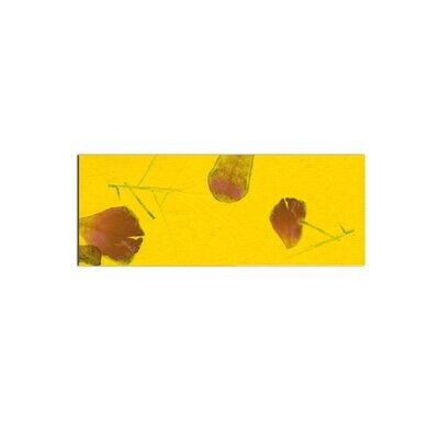 Blütenpapier farbig 80 g / qm, 50 x 70 cm, 5 Bögen, gelb