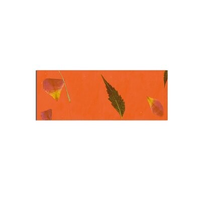 Blütenpapier farbig 80 g / qm, 50 x 70 cm, 5 Bögen, orange