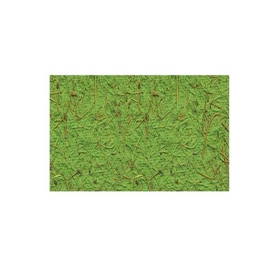 Kokospapier 250 g / qm, 50 x 70 cm, 1 Bogen Hellgrün